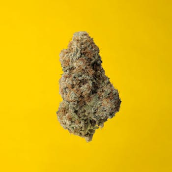 Lemon Z 3.5g Dried Flower - OGEN